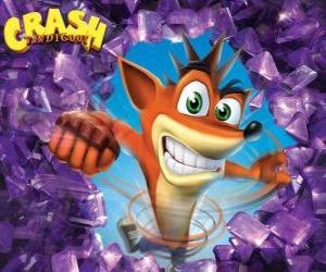 Puzzle Crash Bandicoot, πρωταγωνιστής του βίντεο παιχνίδι Crash Bandicoot